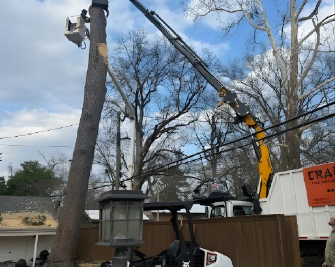 Tree Removal Equipment (Image Content)